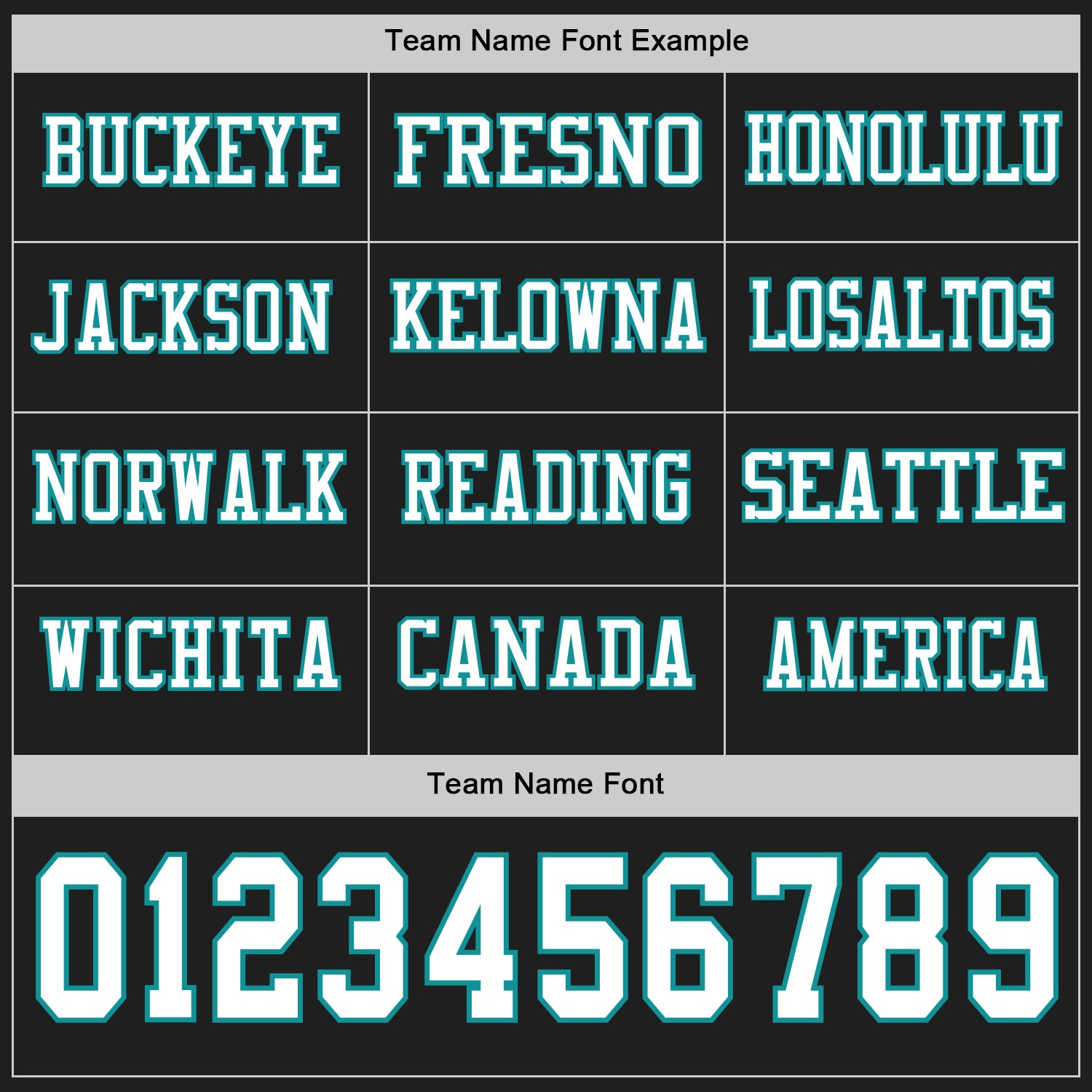 Custom Black White-Teal Long Sleeve Authentic Football Jersey view 3