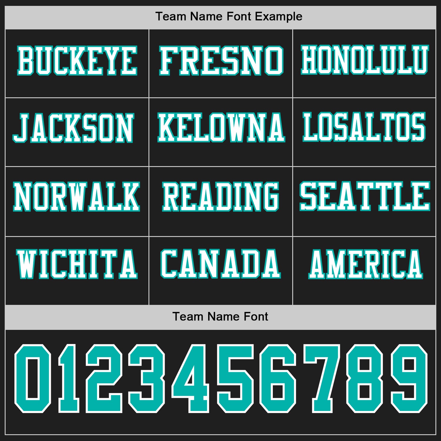 Custom Black Aqua-White Long Sleeve Authentic Football Jersey view 3