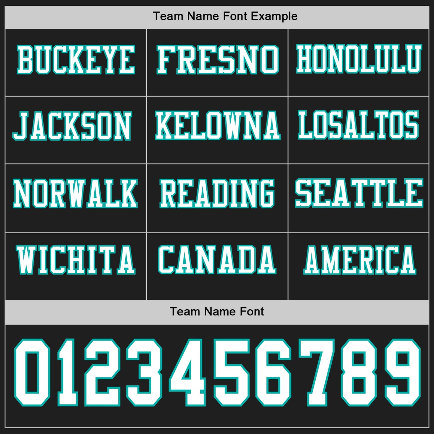 Custom Black White-Aqua Long Sleeve Authentic Football Jersey view 3