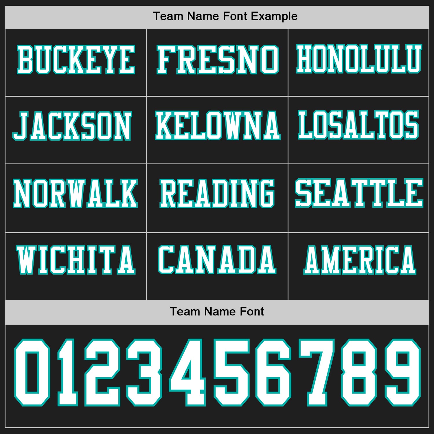 Custom Black White-Aqua Long Sleeve Authentic Football Jersey view 3