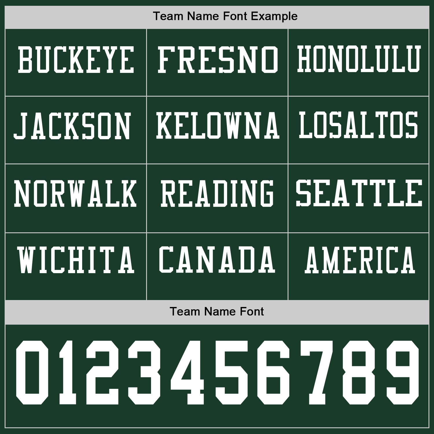 Custom Green White Long Sleeve Authentic Football Jersey view 3