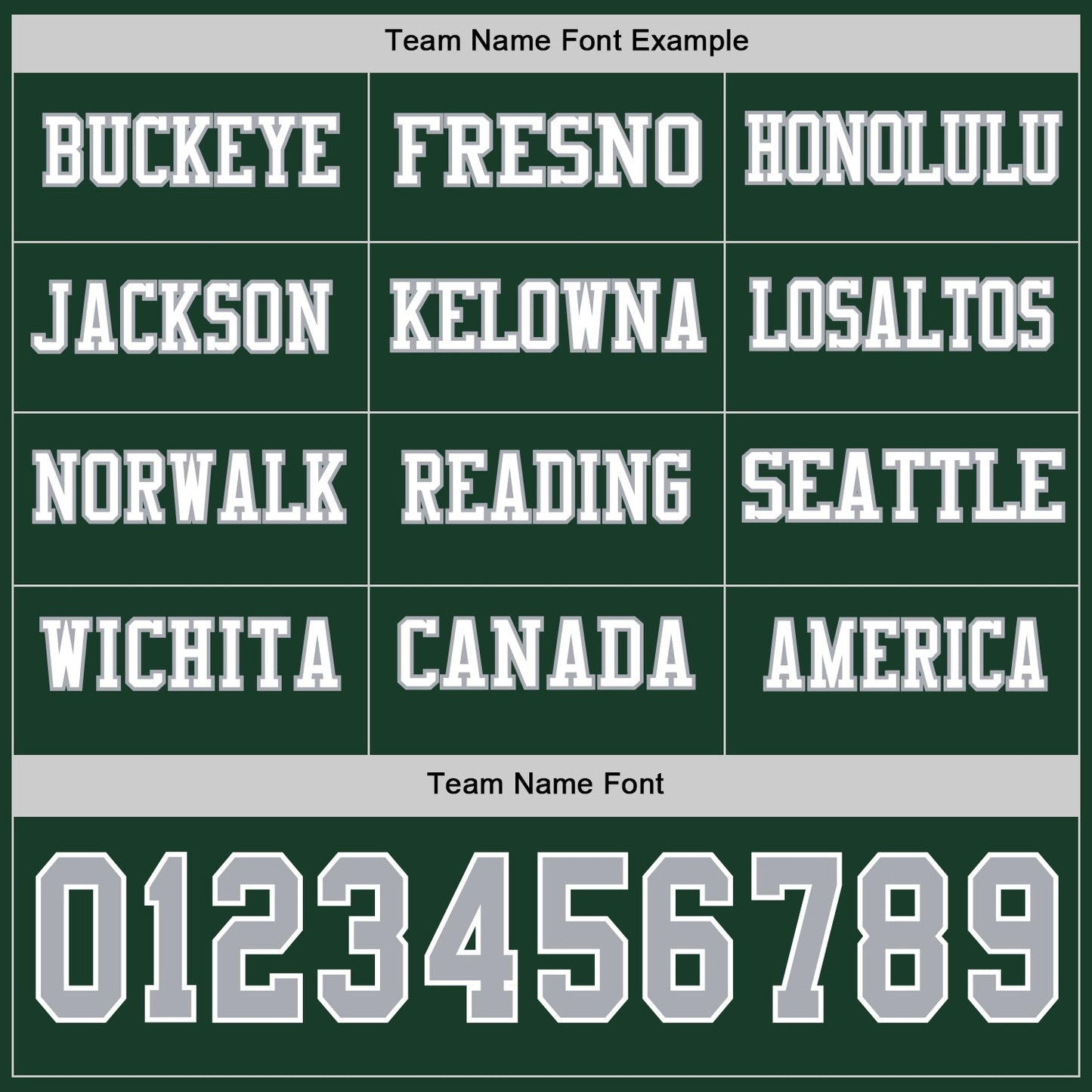 Custom Green Gray-White Long Sleeve Authentic Football Jersey view 3