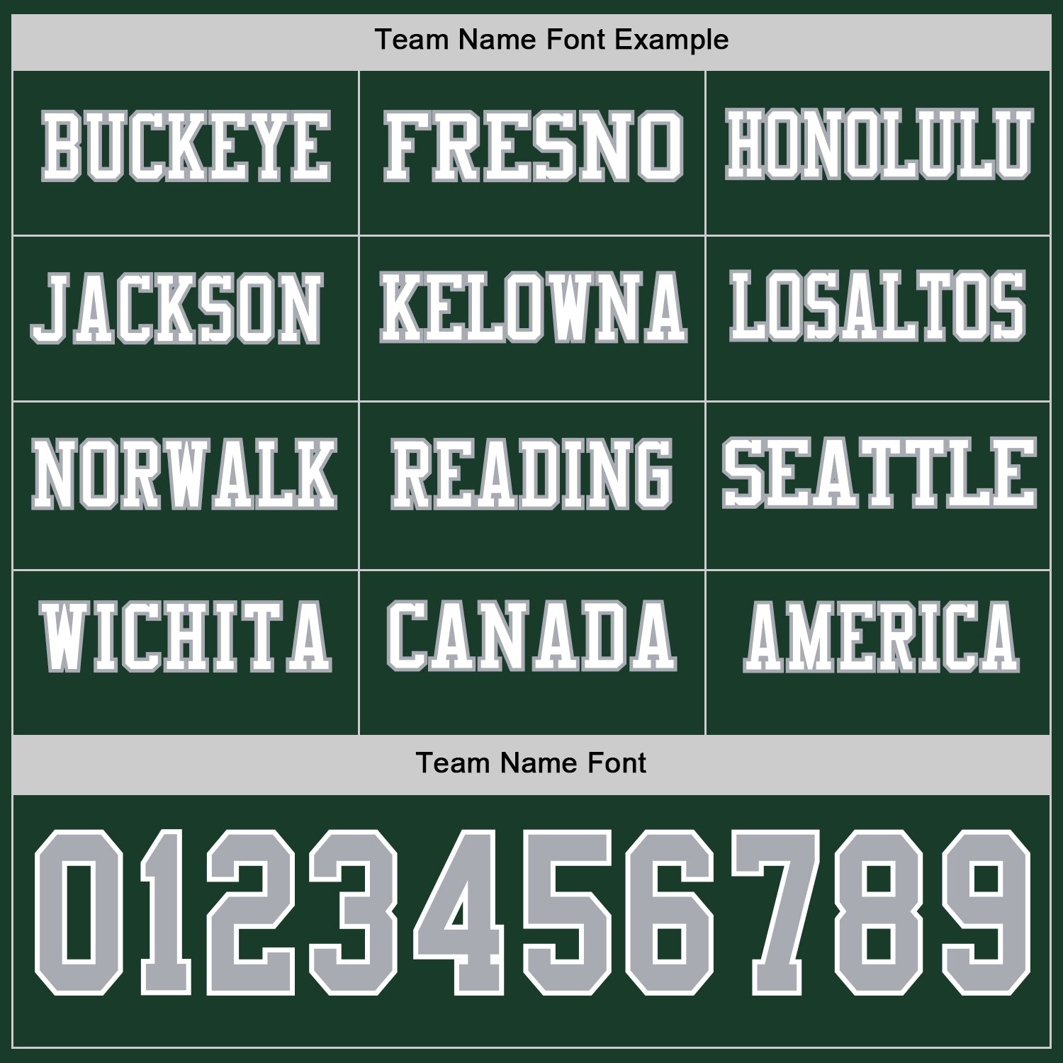 Custom Green Gray-White Long Sleeve Authentic Football Jersey view 3