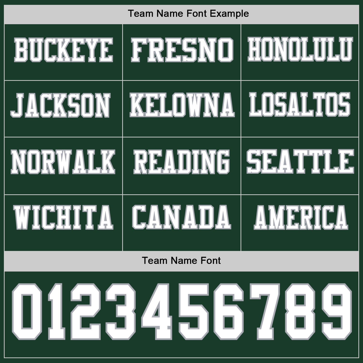 Custom Green White-Gray Long Sleeve Authentic Football Jersey view 3