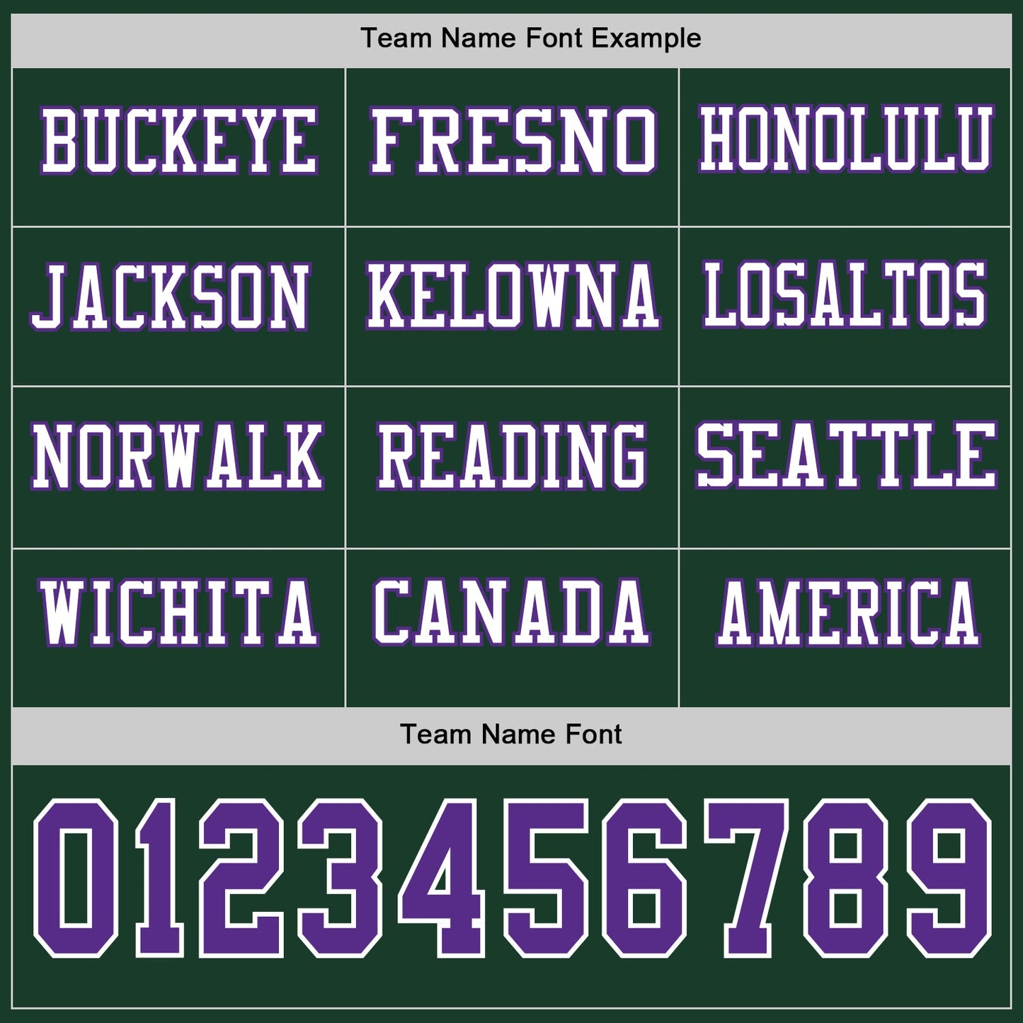 Custom Green Purple-White Long Sleeve Authentic Football Jersey view 3