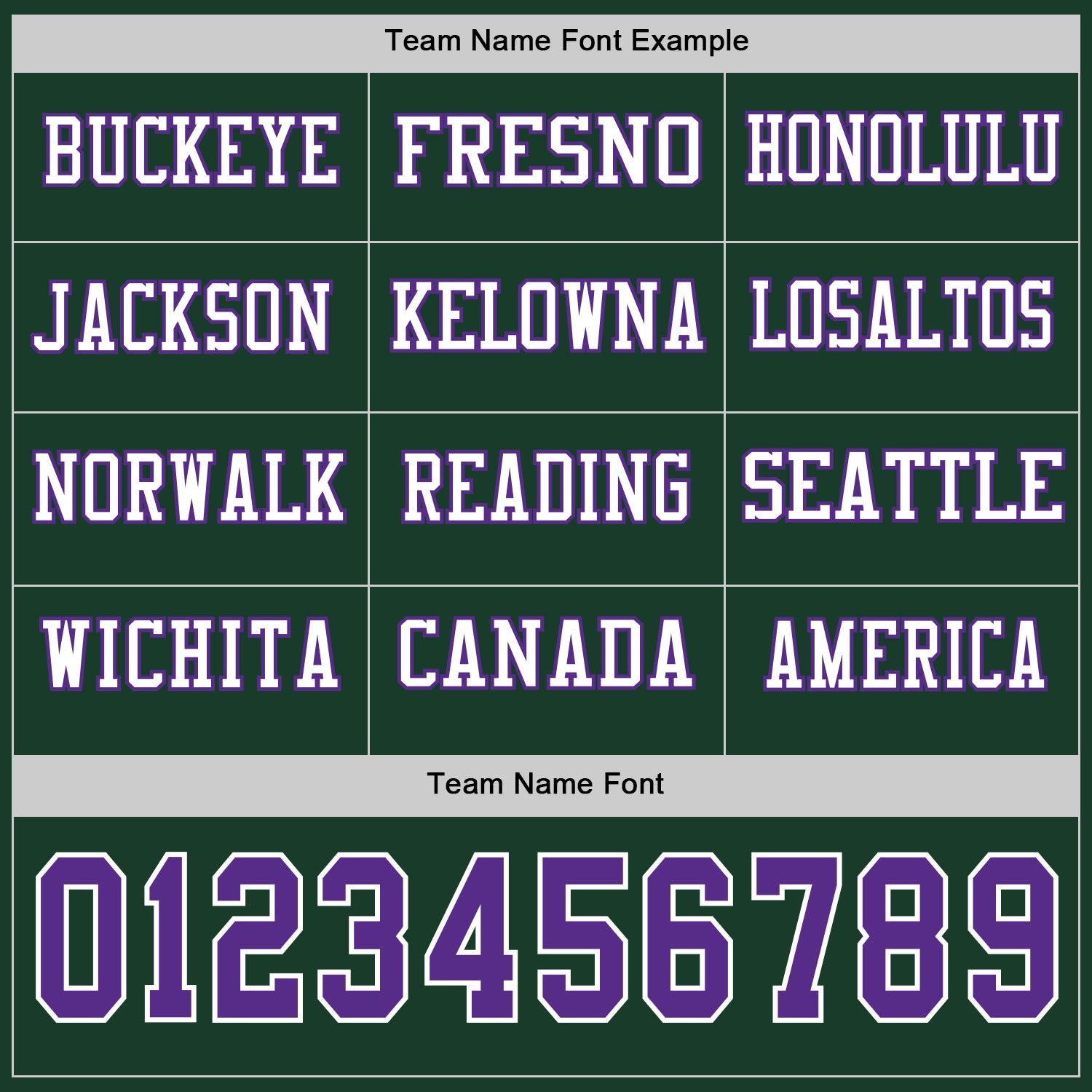 Custom Green Purple-White Long Sleeve Authentic Football Jersey view 3