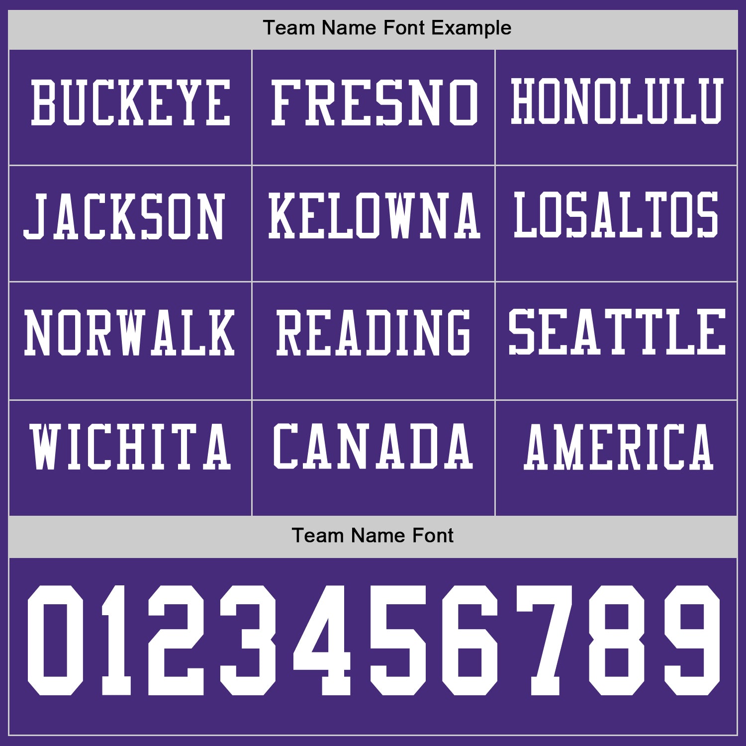 Custom Purple White Long Sleeve Authentic Football Jersey view 3