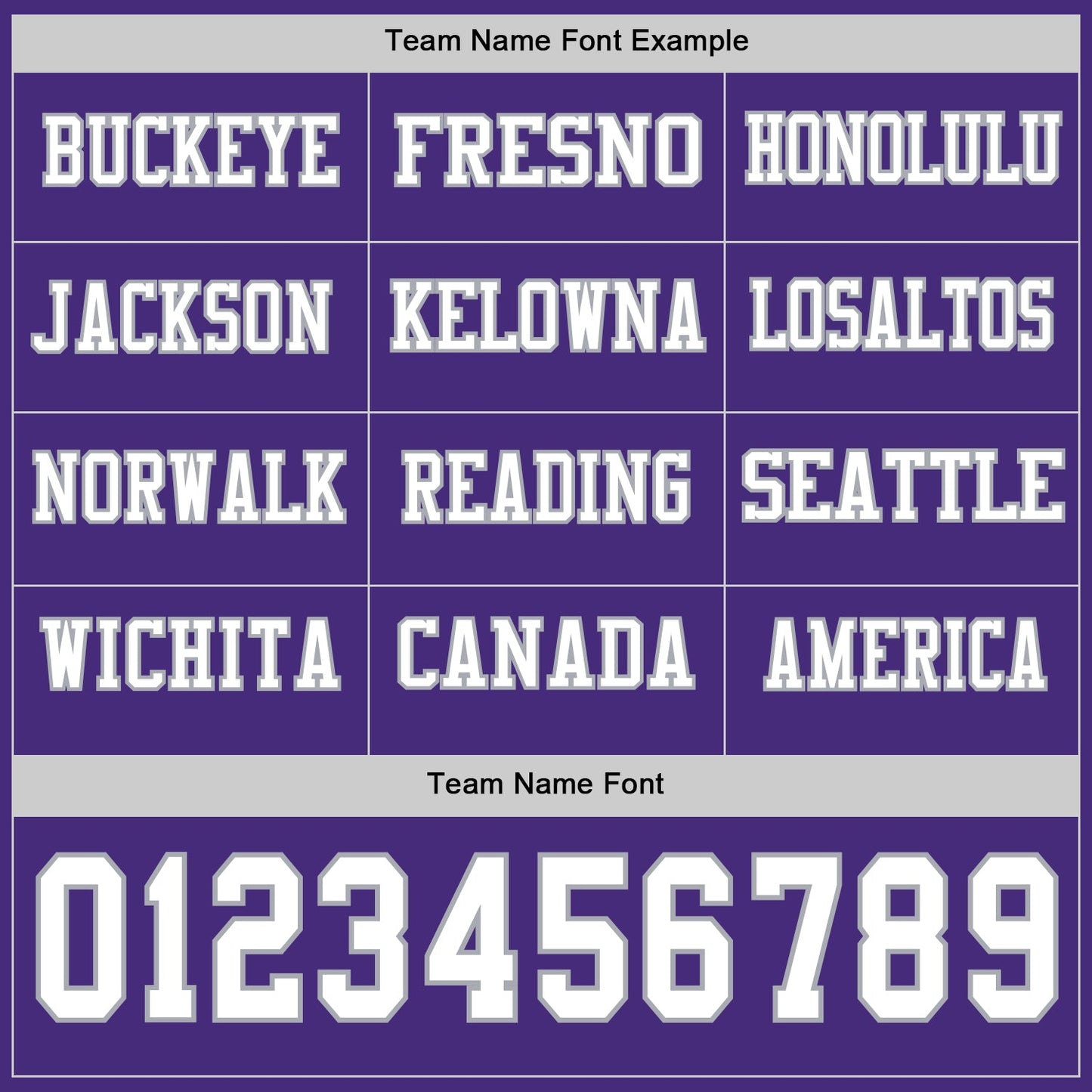 Custom Purple White-Gray Long Sleeve Authentic Football Jersey view 3