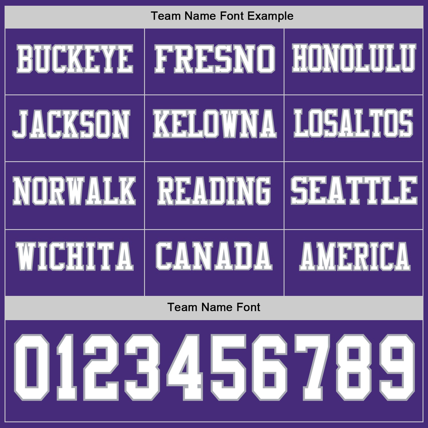 Custom Purple White-Gray Long Sleeve Authentic Football Jersey view 3