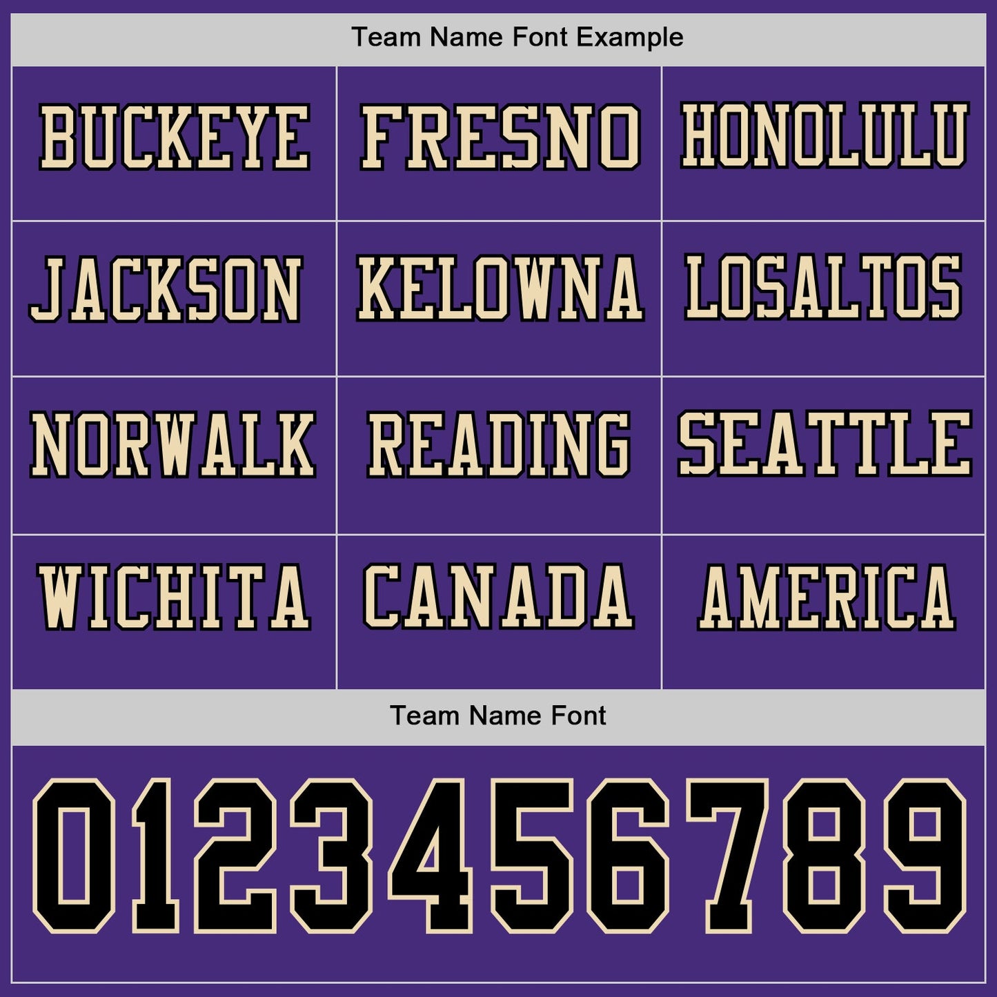 Custom Purple Black-Cream Long Sleeve Authentic Football Jersey view 3