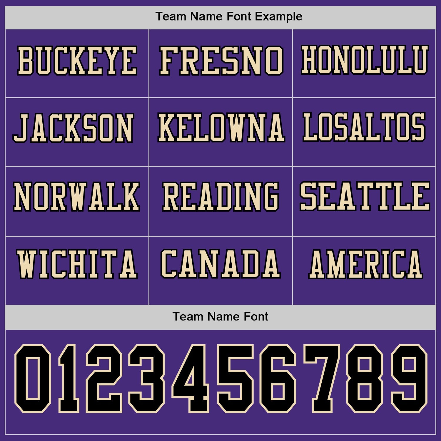 Custom Purple Black-Cream Long Sleeve Authentic Football Jersey view 3
