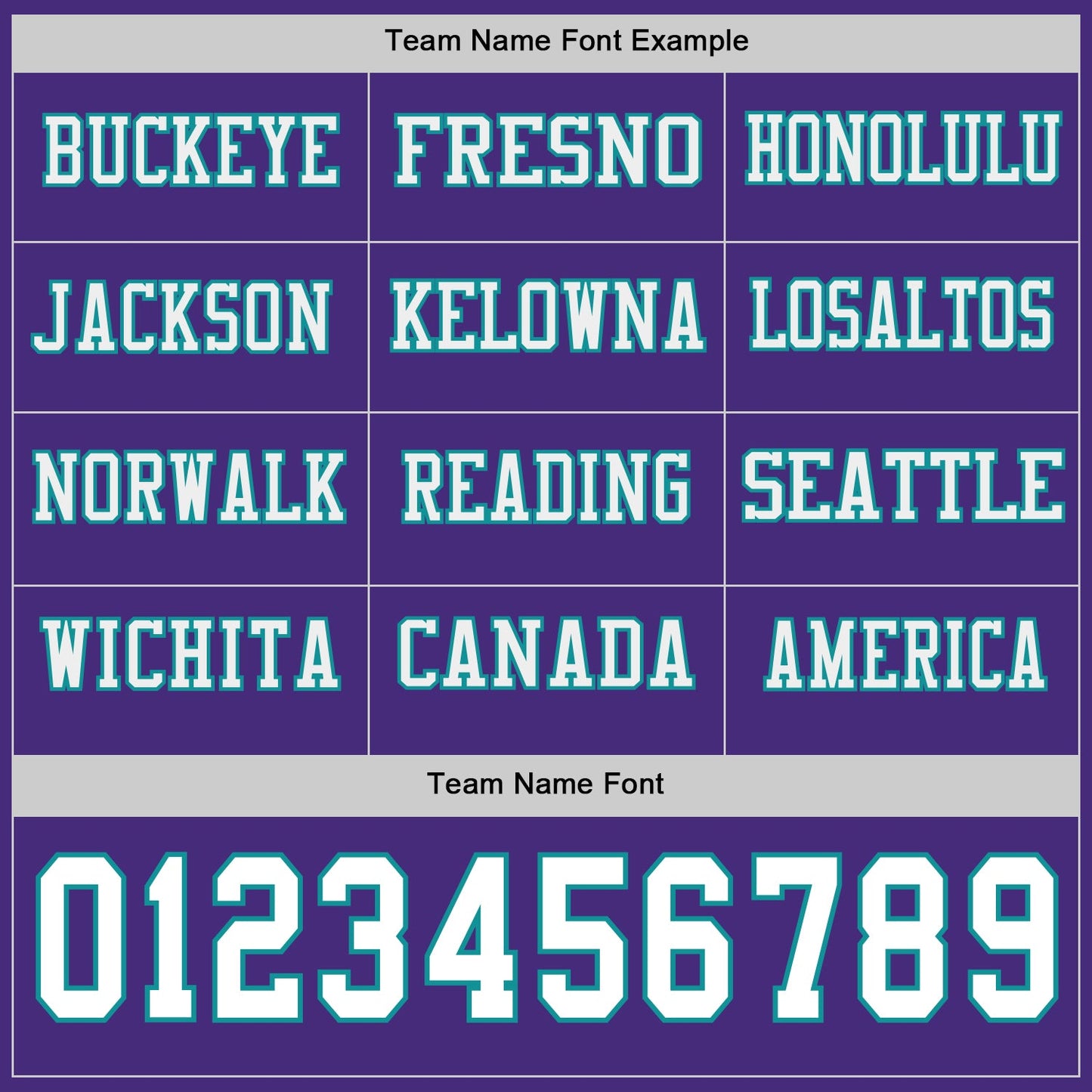 Custom Purple White-Teal Long Sleeve Authentic Football Jersey view 3