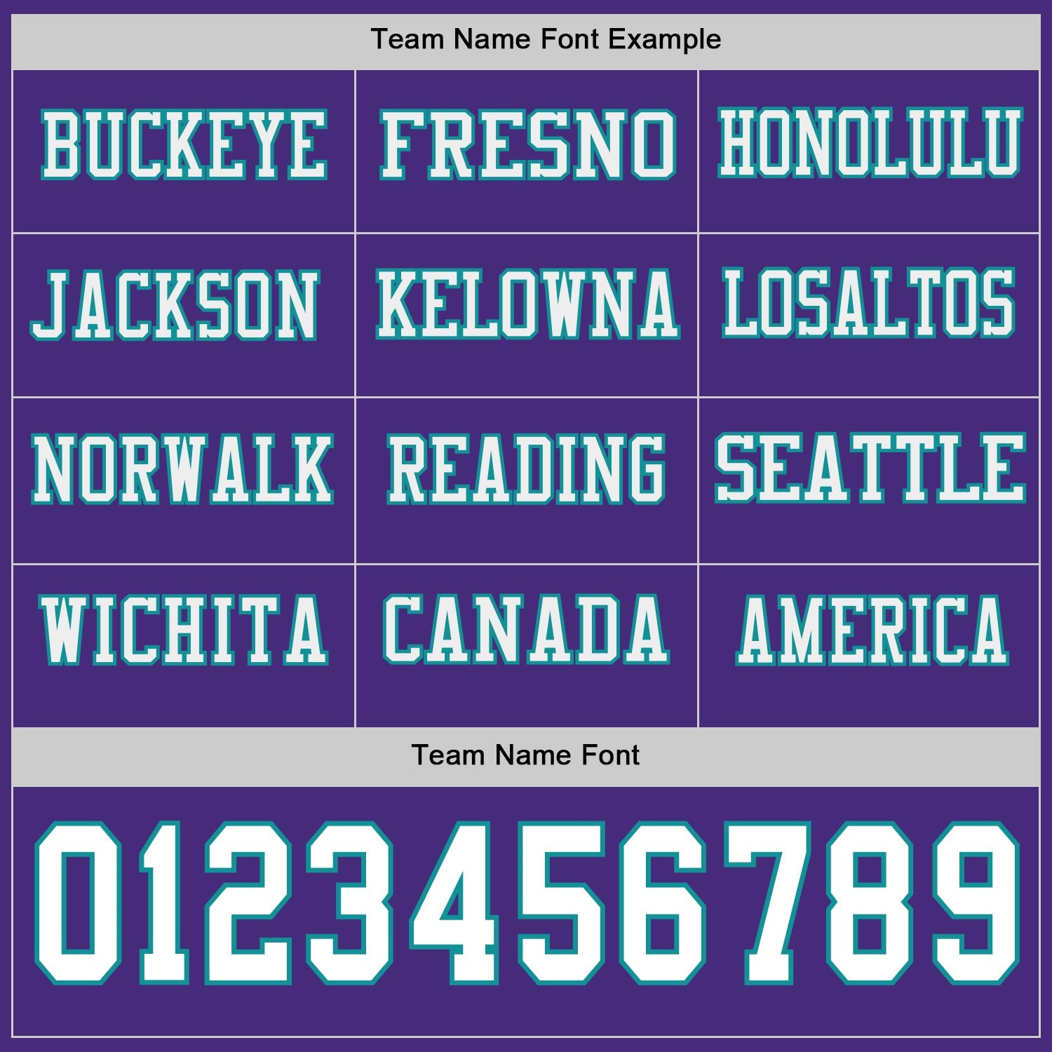 Custom Purple White-Teal Long Sleeve Authentic Football Jersey view 3