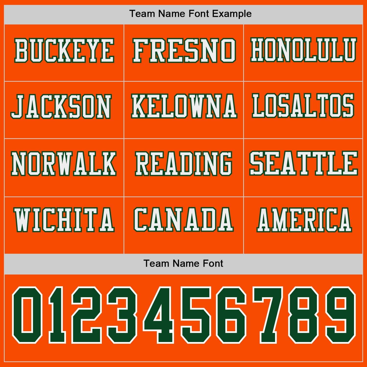 Custom Orange Green-White Long Sleeve Authentic Football Jersey view 3