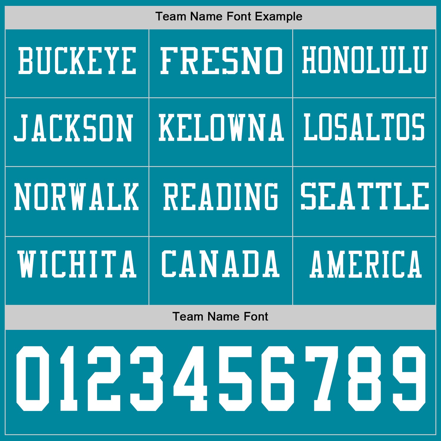 Custom Teal White Long Sleeve Authentic Football Jersey view 3