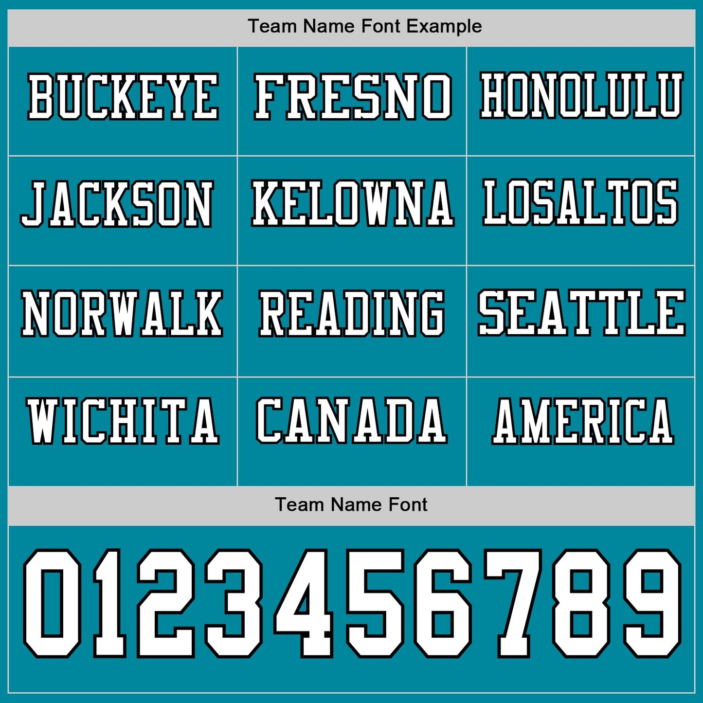 Custom Teal White-Black Long Sleeve Authentic Football Jersey view 3