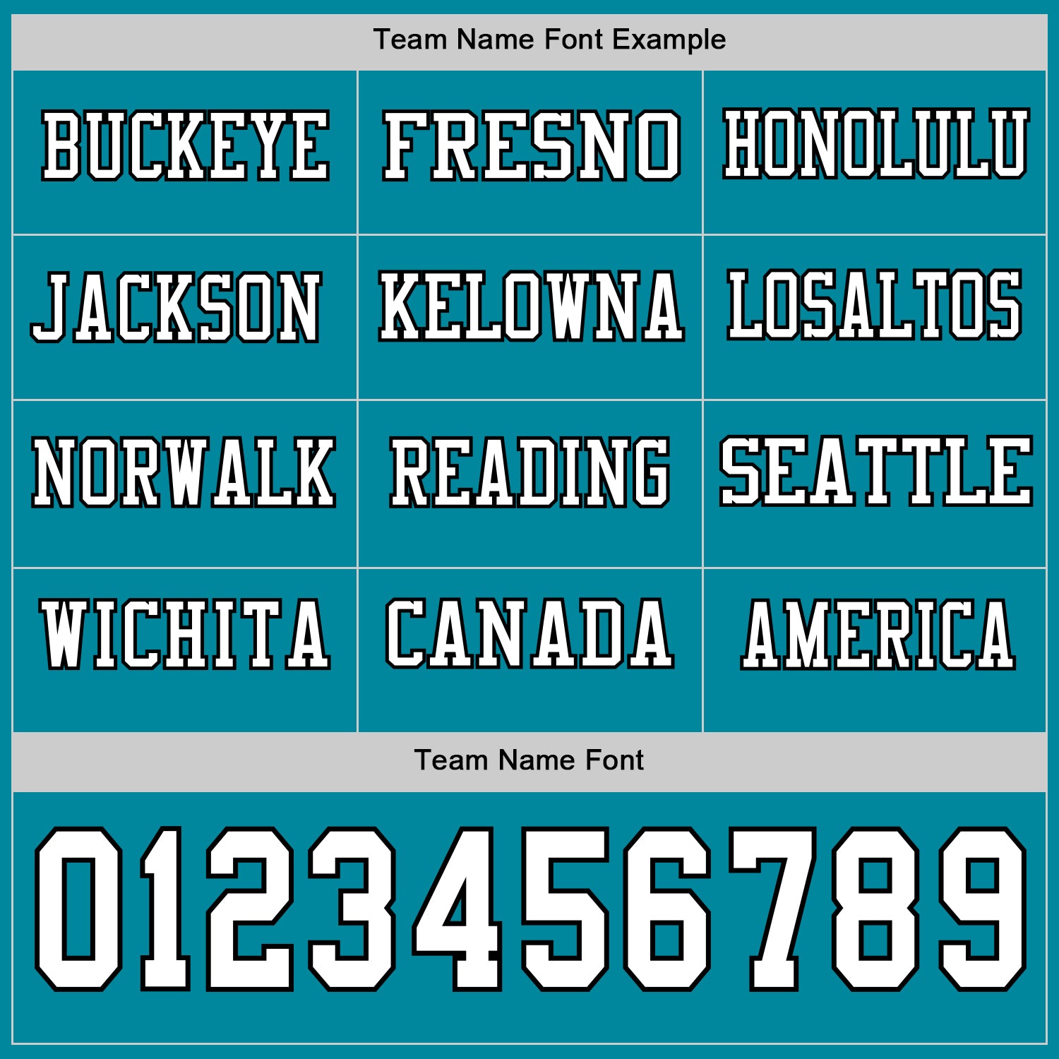 Custom Teal White-Black Long Sleeve Authentic Football Jersey view 3
