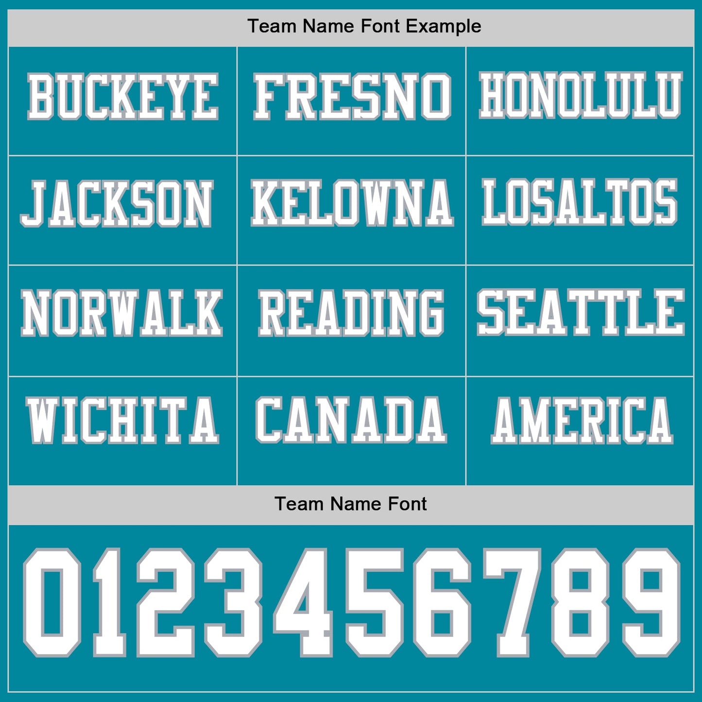 Custom Teal White-Gray Long Sleeve Authentic Football Jersey view 3