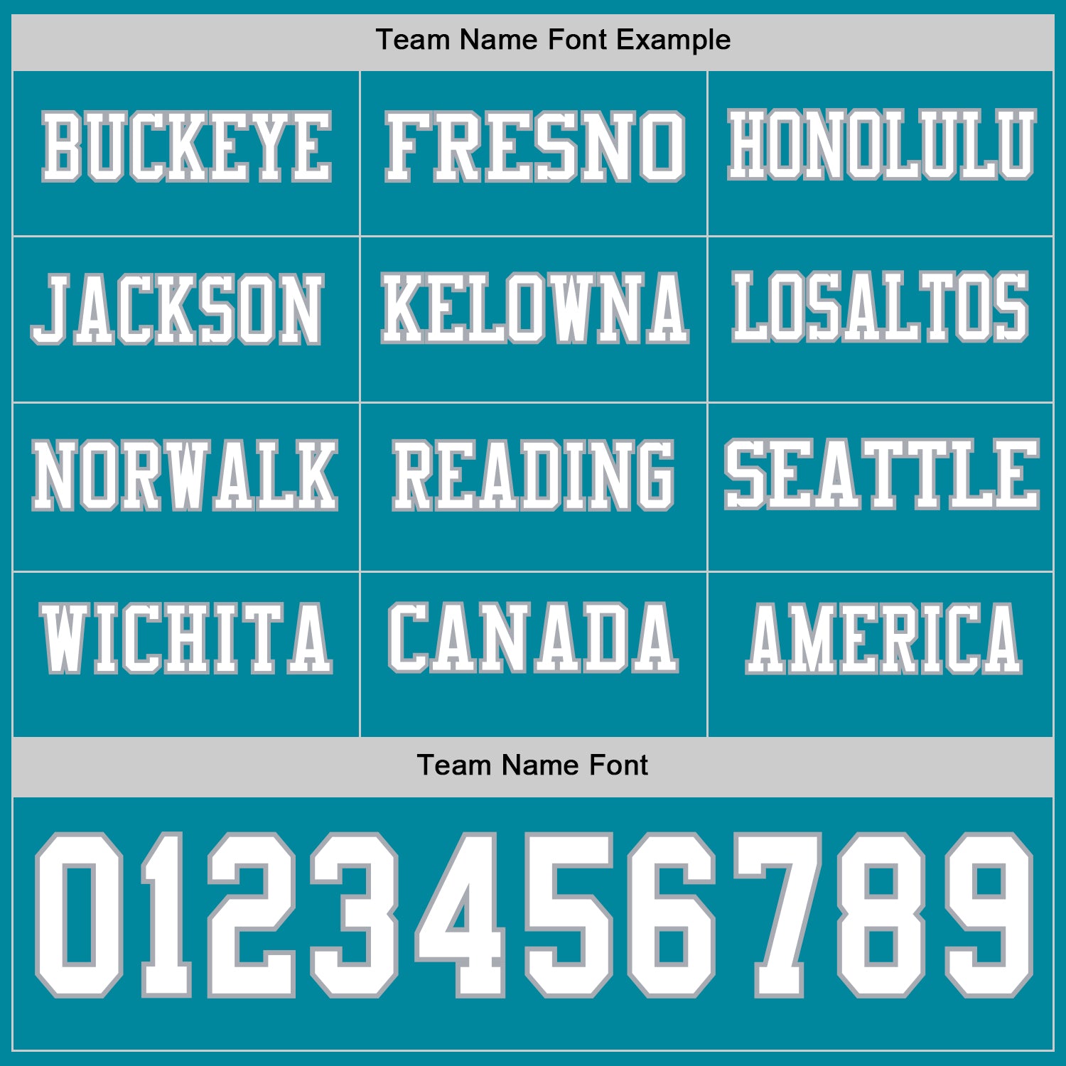 Custom Teal White-Gray Long Sleeve Authentic Football Jersey view 3
