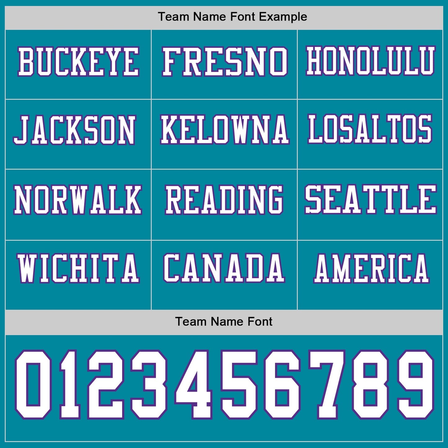 Custom Teal White-Purple Long Sleeve Authentic Football Jersey view 3