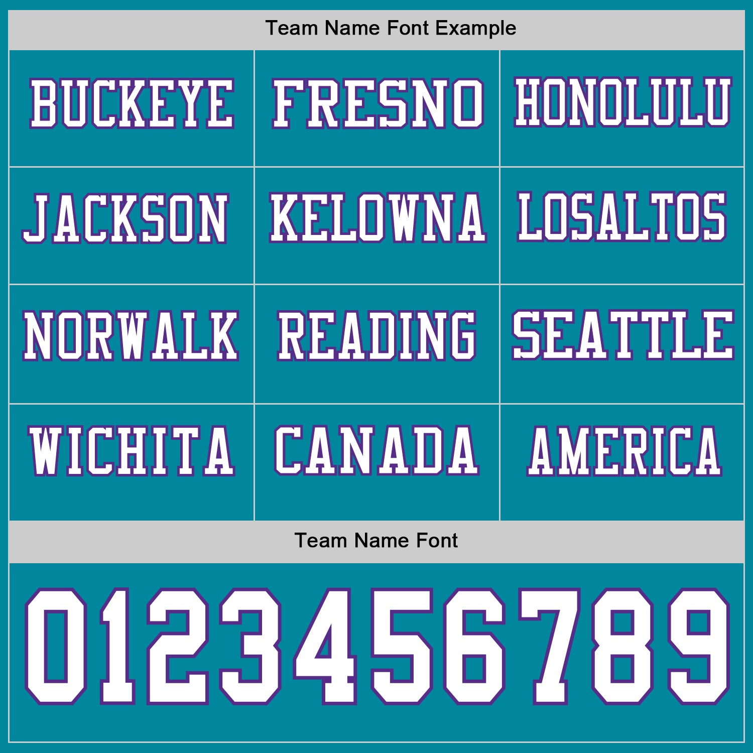 Custom Teal White-Purple Long Sleeve Authentic Football Jersey view 3