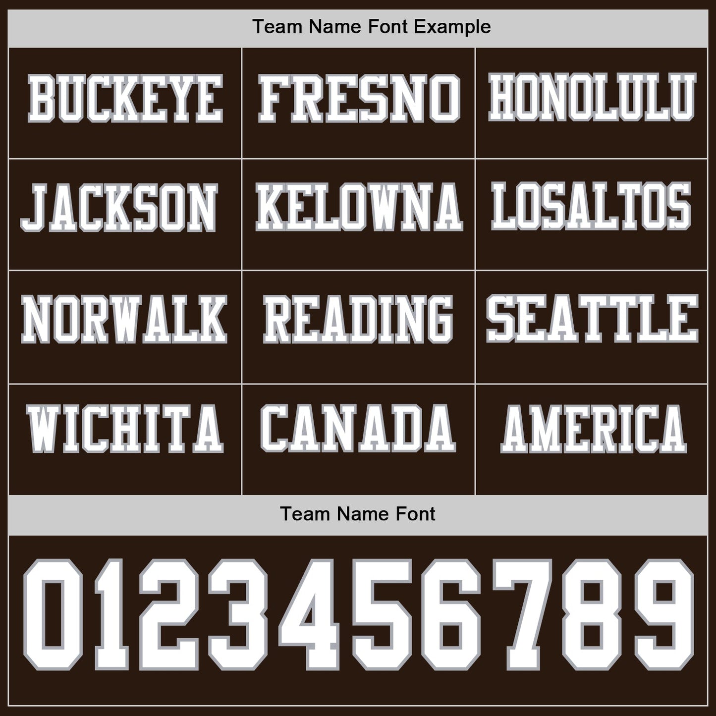 Custom Brown White-Gray Long Sleeve Authentic Football Jersey view 3
