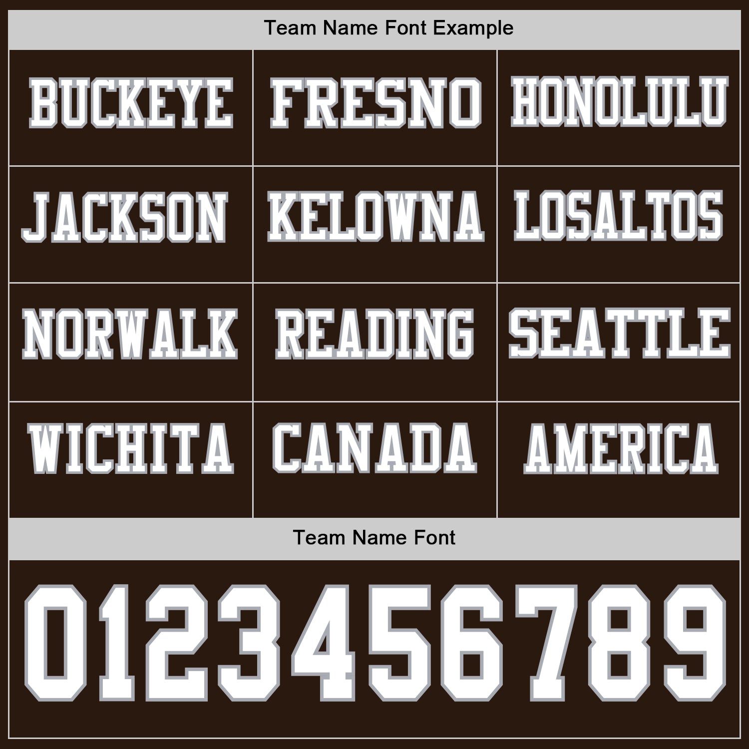 Custom Brown White-Gray Long Sleeve Authentic Football Jersey view 3