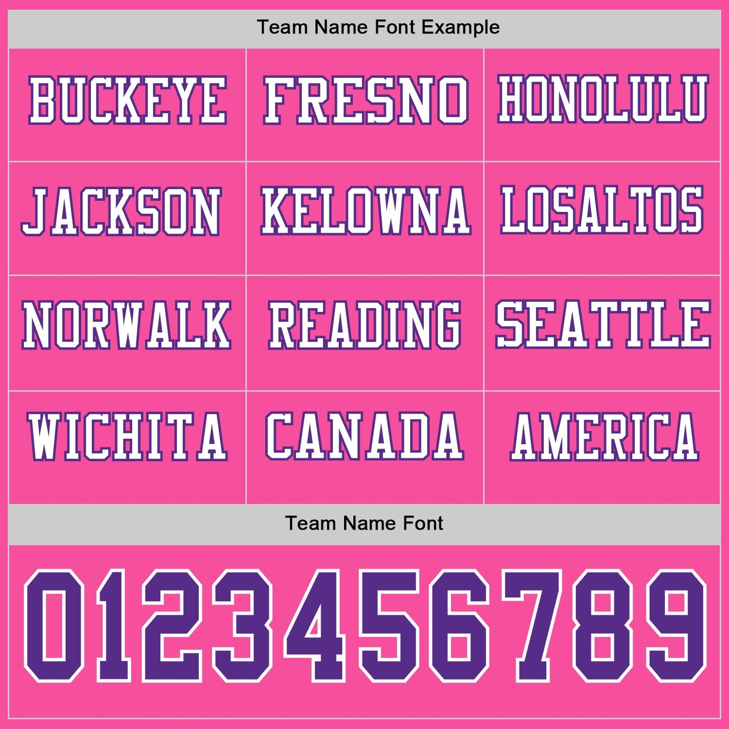 Custom Pink Purple-White Long Sleeve Authentic Football Jersey view 3