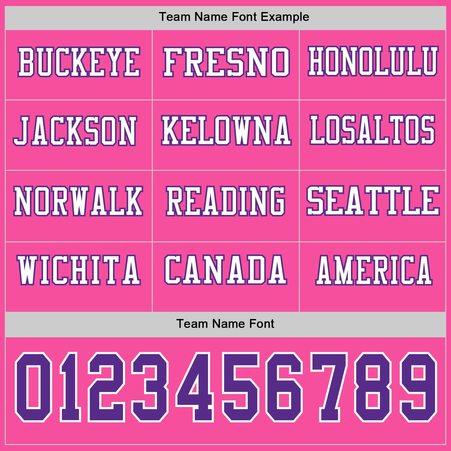 Custom Pink Purple-White Long Sleeve Authentic Football Jersey view 3