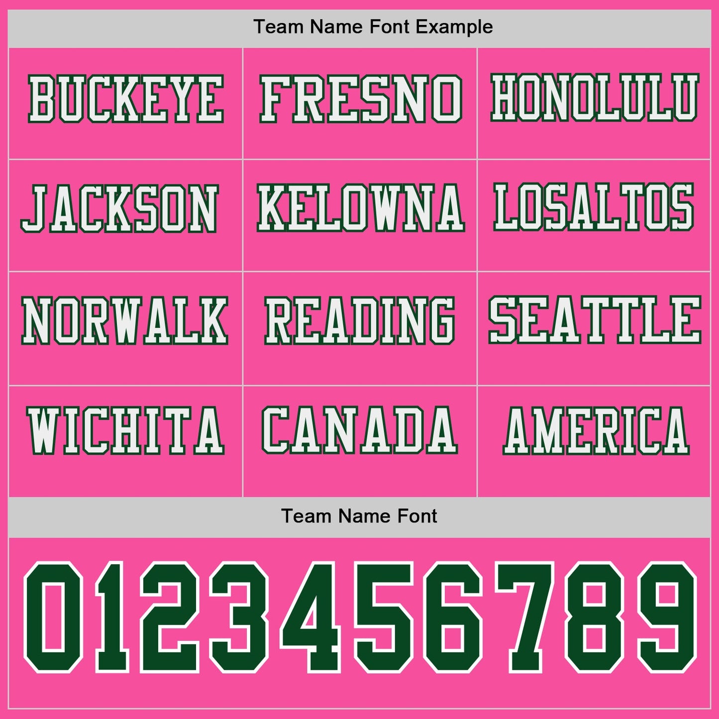 Custom Pink Green-White Long Sleeve Authentic Football Jersey view 3