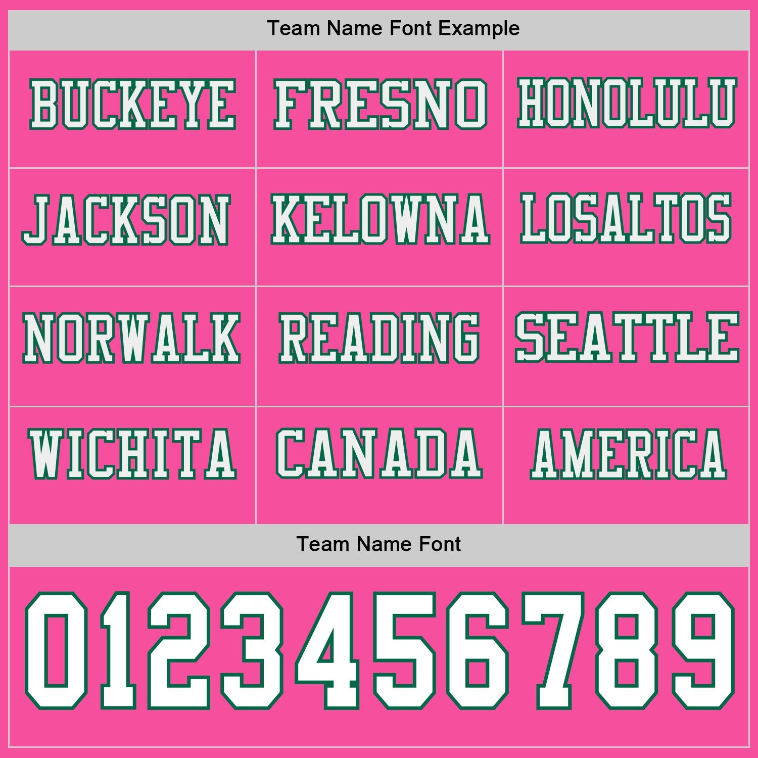 Custom Pink White=Kelly Green Long Sleeve Authentic Football Jersey view 3