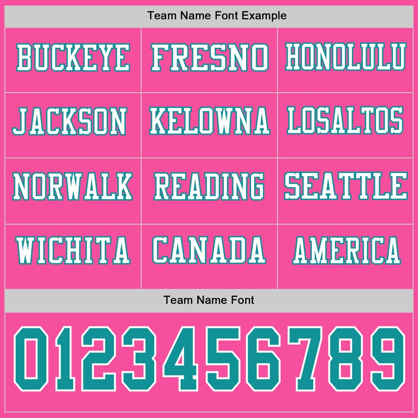 Custom Pink Teal-White Long Sleeve Authentic Football Jersey view 3