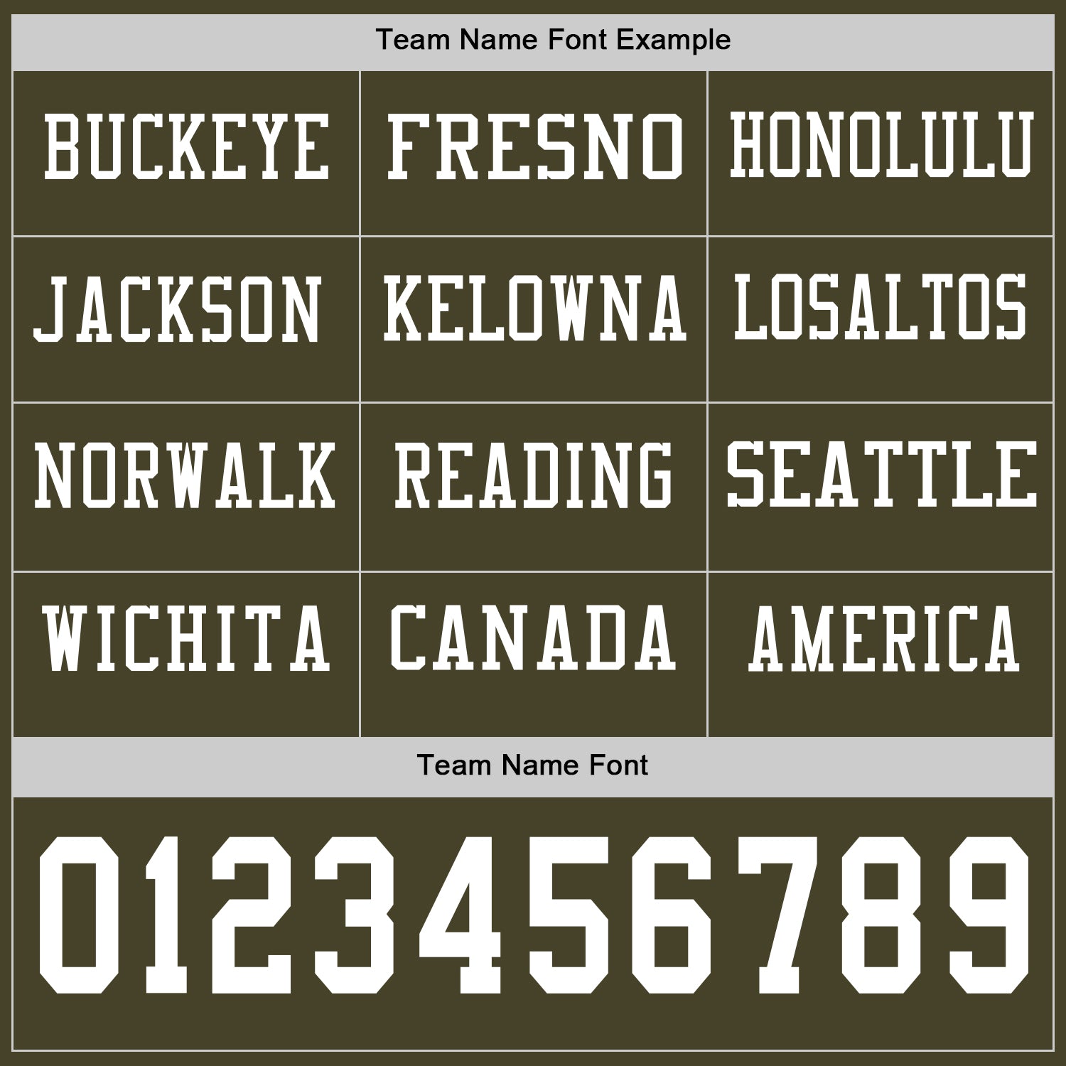Custom Olive White Long Sleeve Salute To Service Authentic Football Jersey view 3