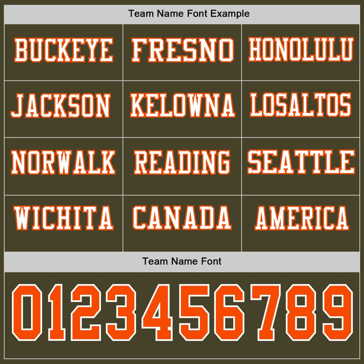 Custom Olive Orange-White Long Sleeve Salute To Service Authentic Football Jersey view 3