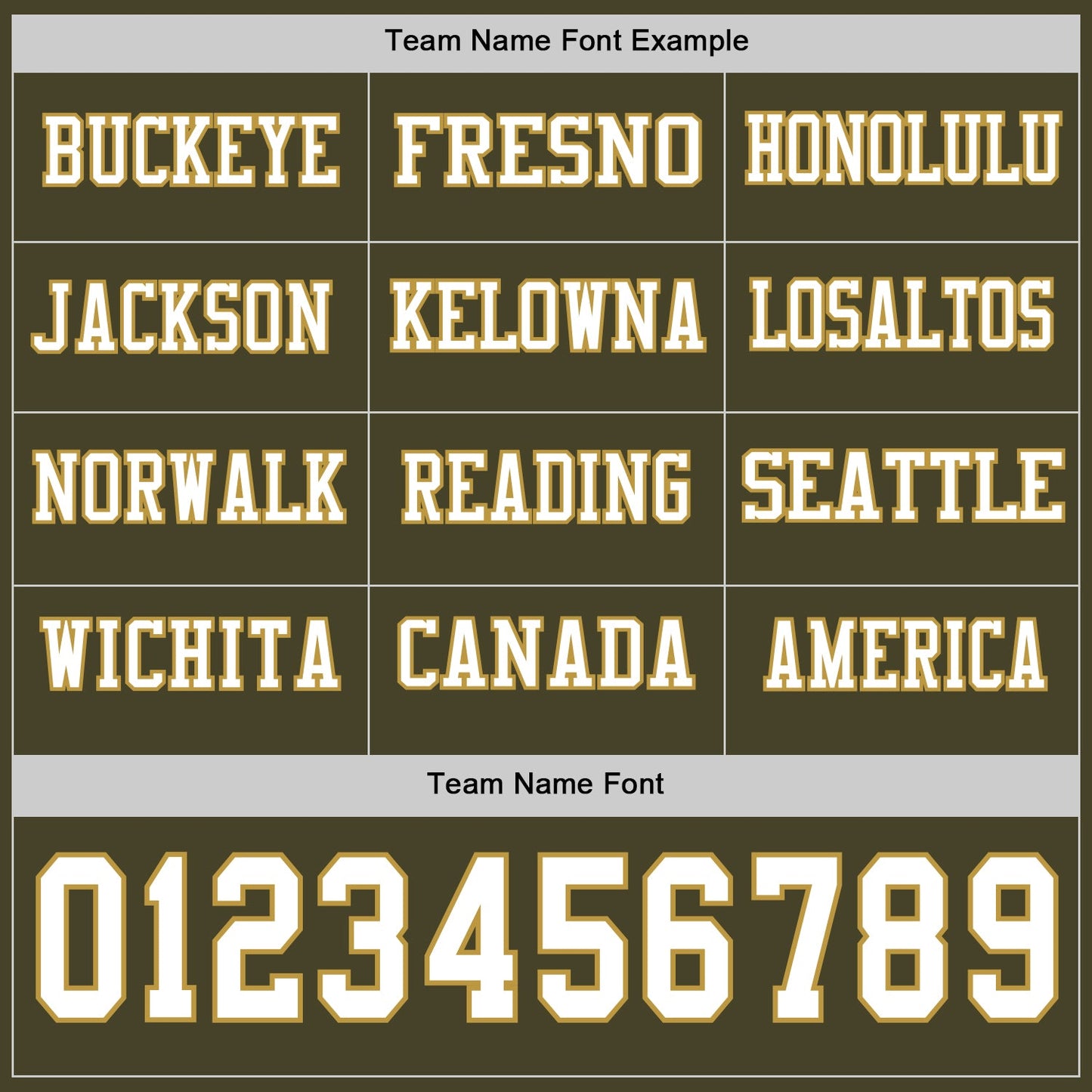 Custom Olive White-Old Gold Long Sleeve Salute To Service Authentic Football Jersey view 3