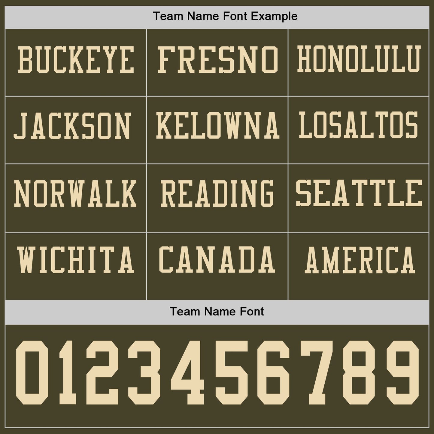 Custom Olive Cream Long Sleeve Salute To Service Authentic Football Jersey view 3