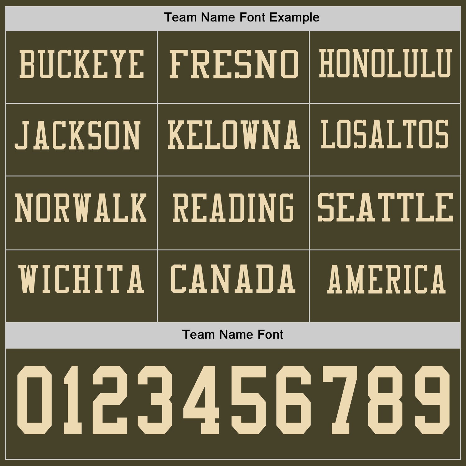 Custom Olive Cream Long Sleeve Salute To Service Authentic Football Jersey view 3