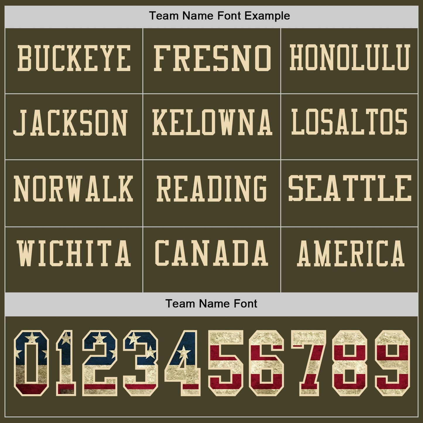 Custom Olive Vintage USA Flag-Cream Long Sleeve Salute To Service Authentic Football Jersey view 3