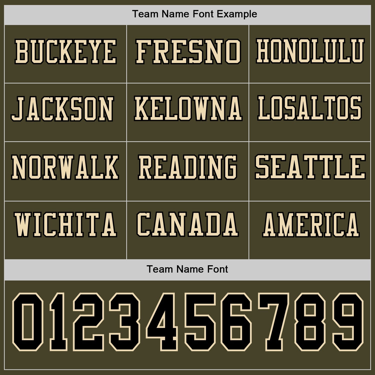Custom Olive Black-Cream Long Sleeve Salute To Service Authentic Football Jersey view 3