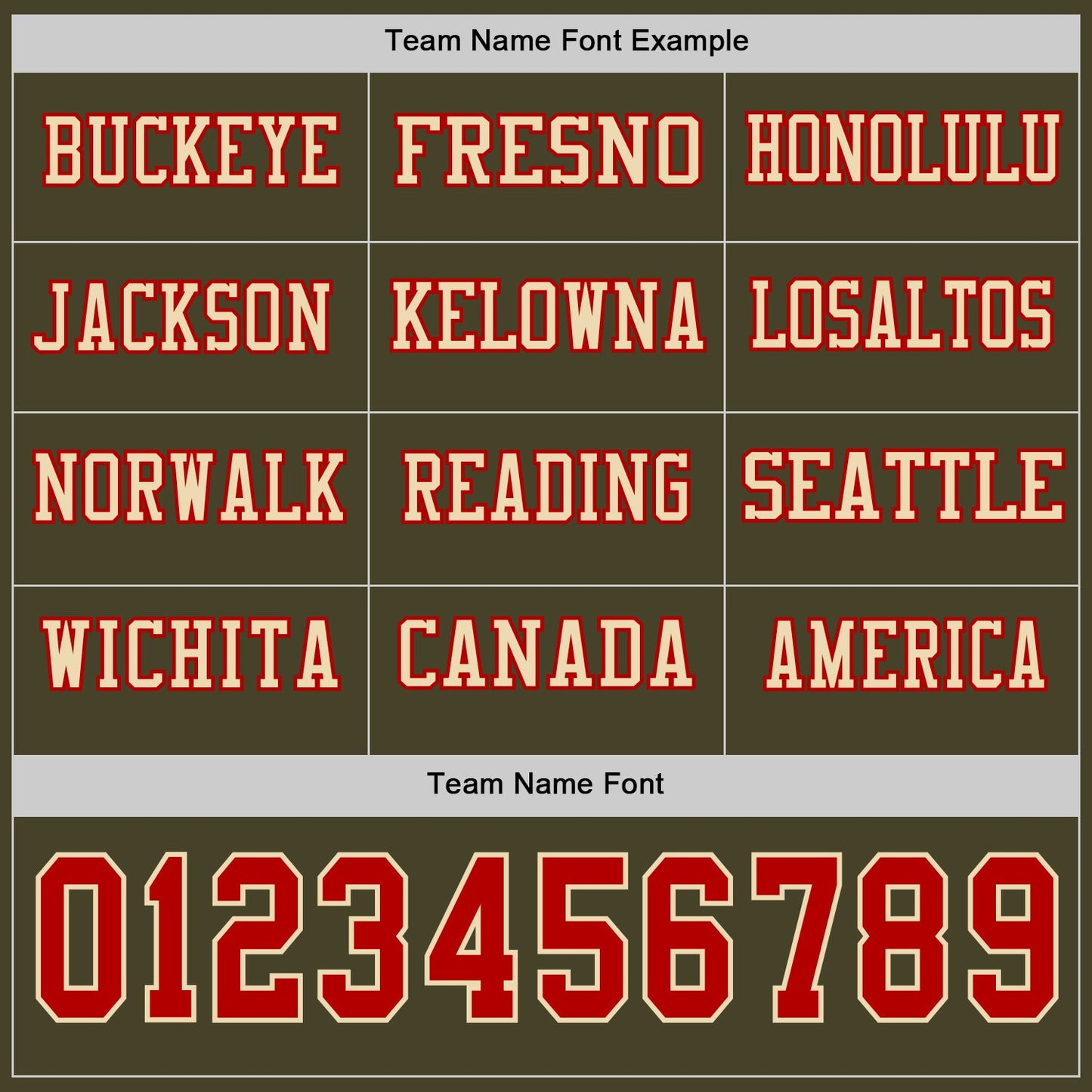 Custom Olive Red-Cream Long Sleeve Salute To Service Authentic Football Jersey view 3