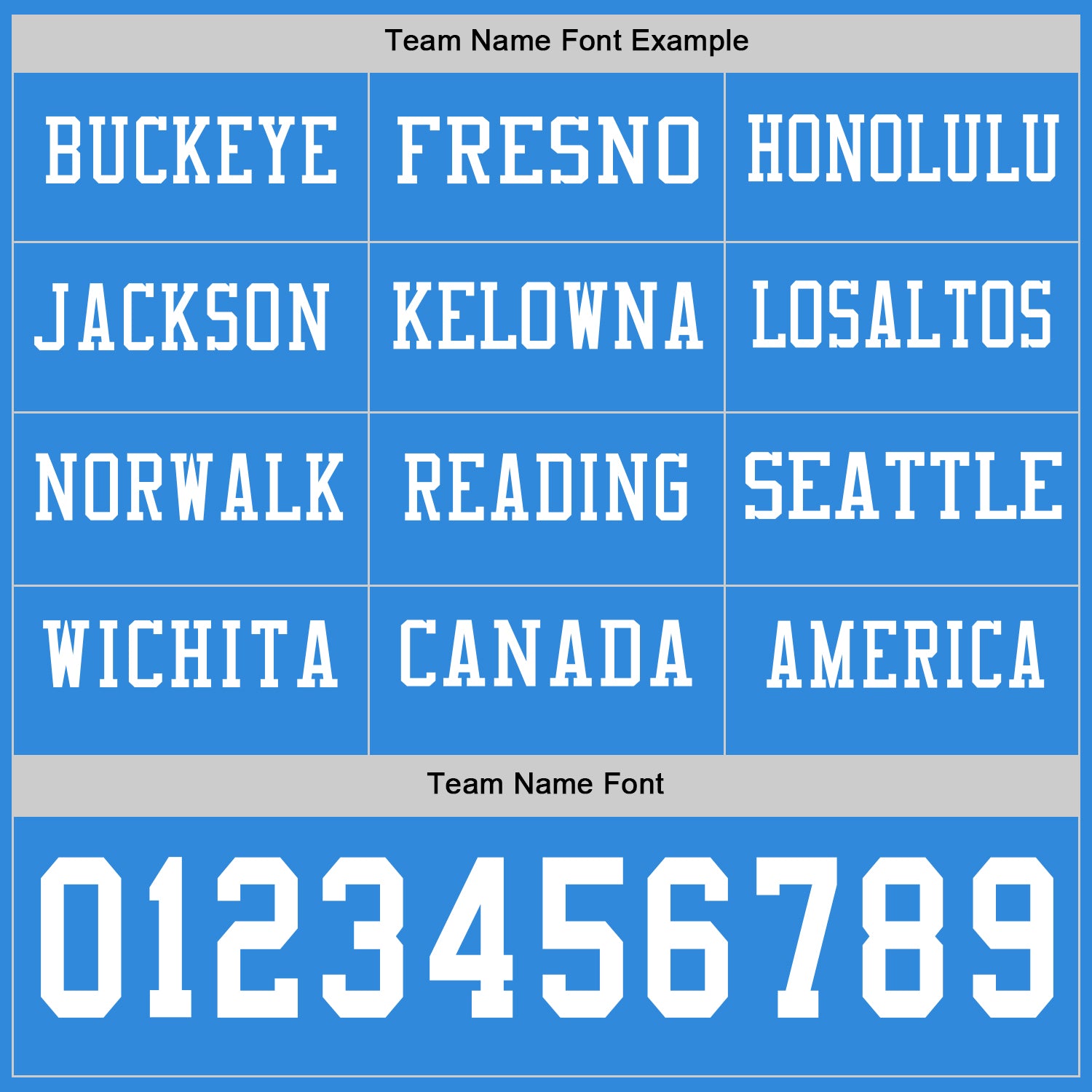 Custom Powder Blue White Long Sleeve Authentic Football Jersey view 3
