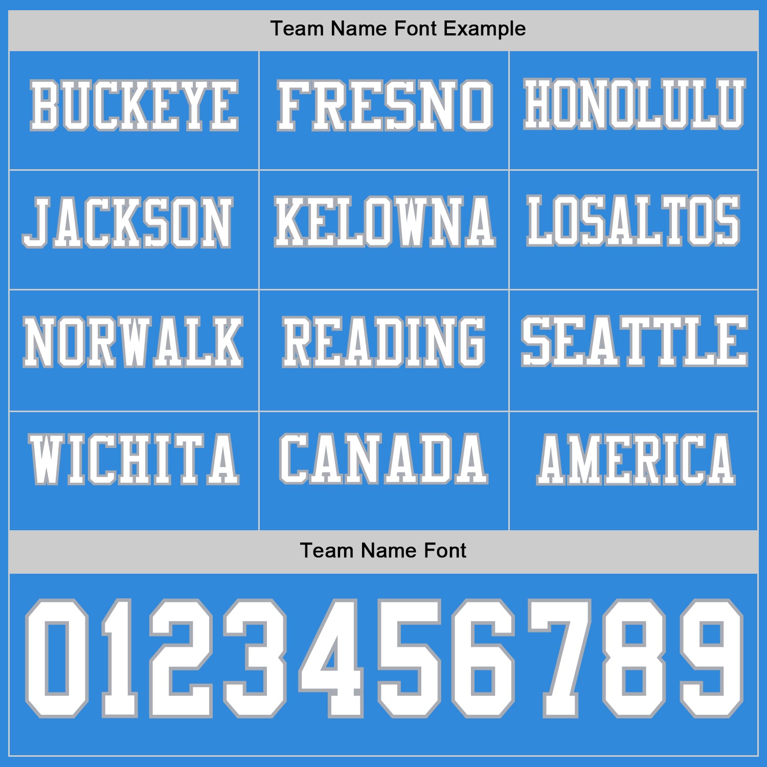 Custom Powder Blue White-Gray Long Sleeve Authentic Football Jersey view 3
