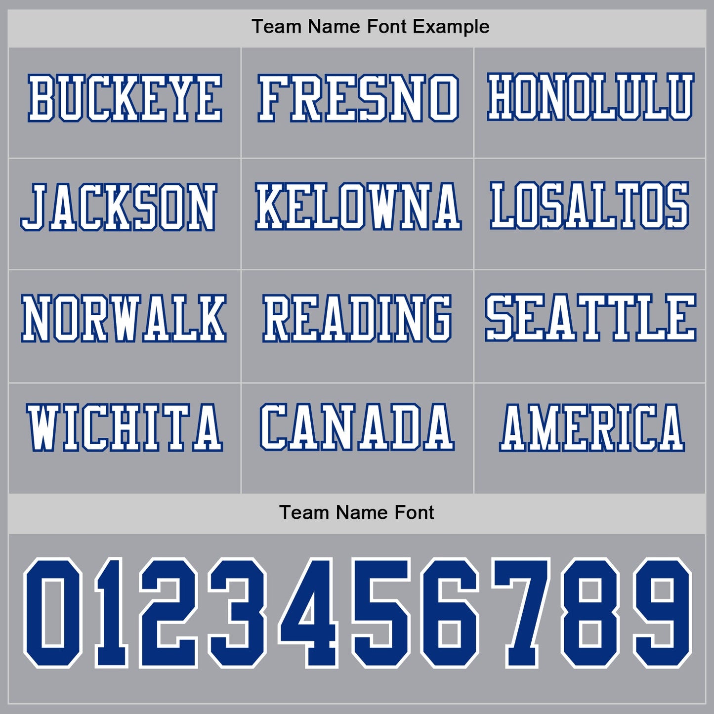 Custom Gray Royal-White Long Sleeve Authentic Football Jersey view 3