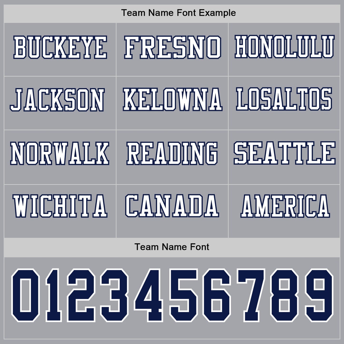 Custom Gray Navy-White Long Sleeve Authentic Football Jersey view 3