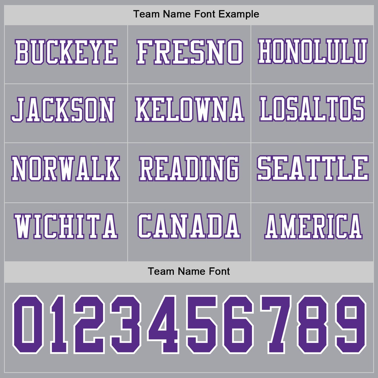 Custom Gray Purple-White Long Sleeve Authentic Football Jersey view 3