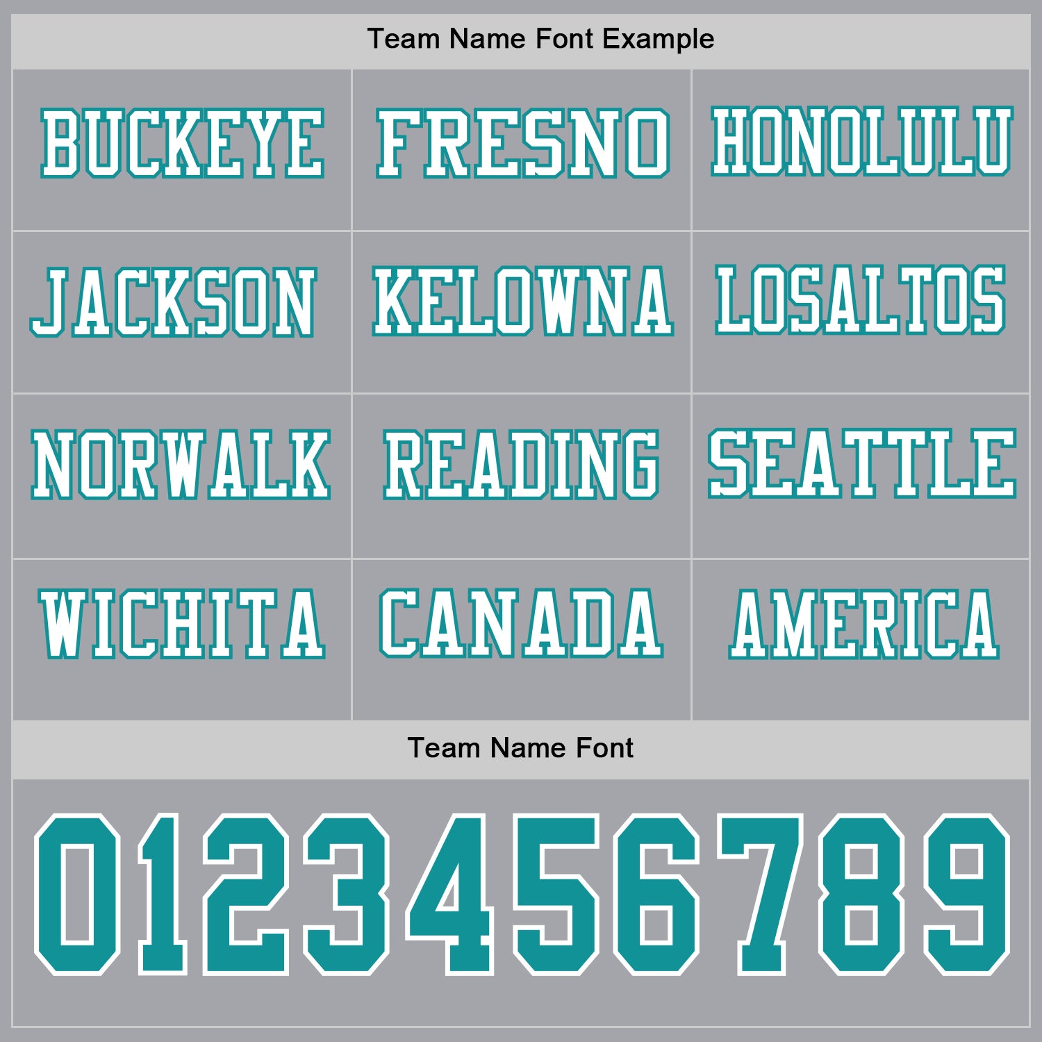 Custom Gray Teal-White Long Sleeve Authentic Football Jersey view 3
