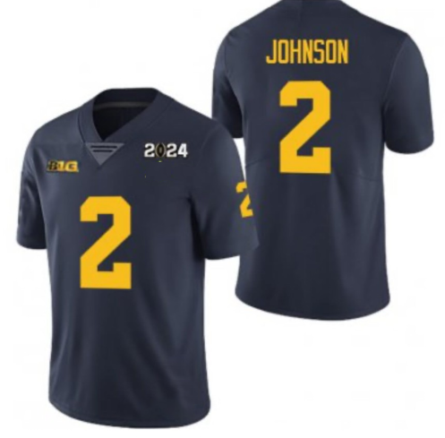 M.Wolverines #2 Will Johnson Navy 2024 Stitched American College Jerseys - Main View