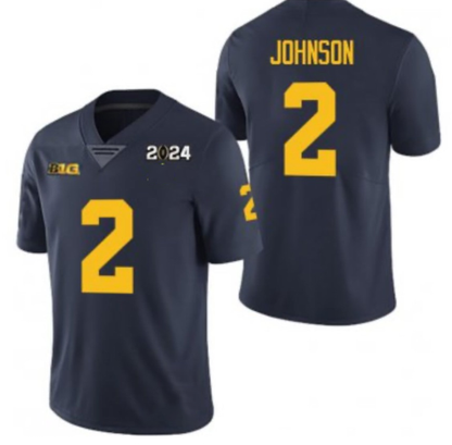 M.Wolverines #2 Will Johnson Navy 2024 Stitched American College Jerseys - Main View