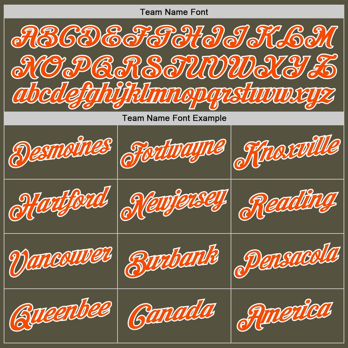 Custom Olive Orange-White Performance Salute To Service T-Shirt view 3