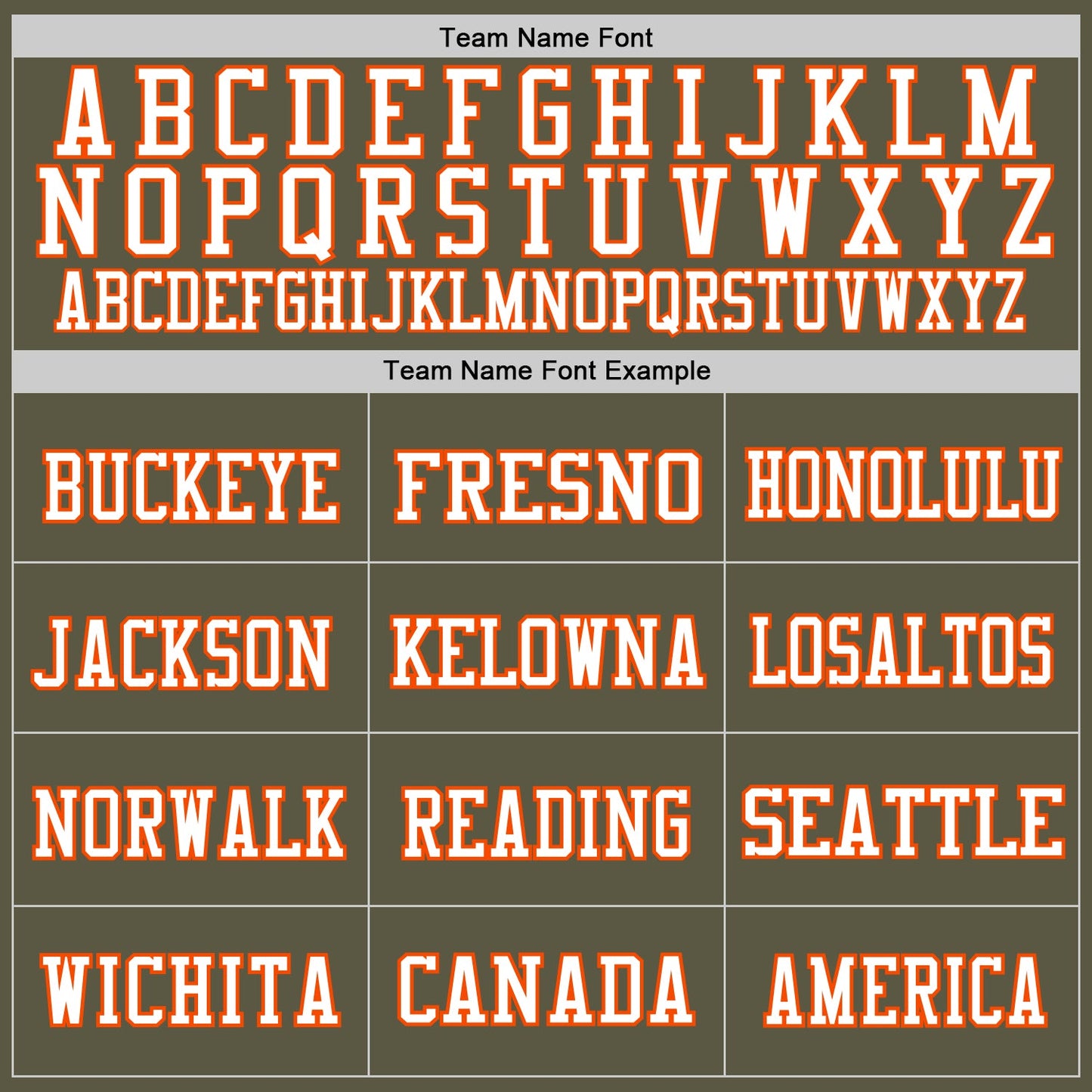 Custom Olive Orange-White Mesh Authentic Throwback Salute To Service Football Jersey view 3
